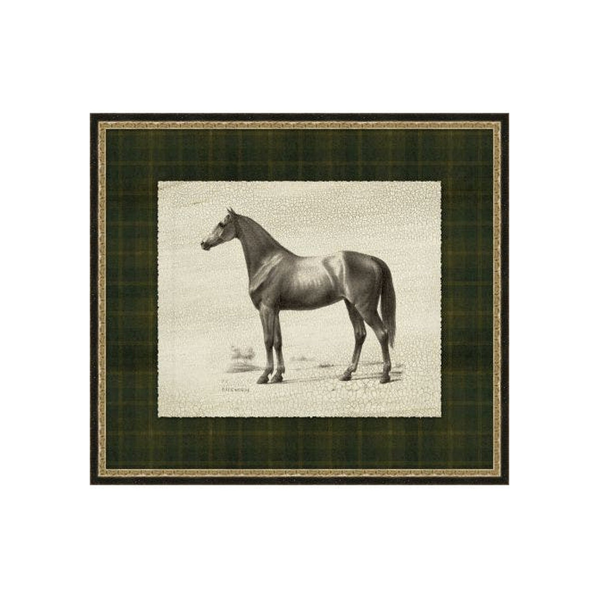 "Patterned Dignity" Framed Art Print