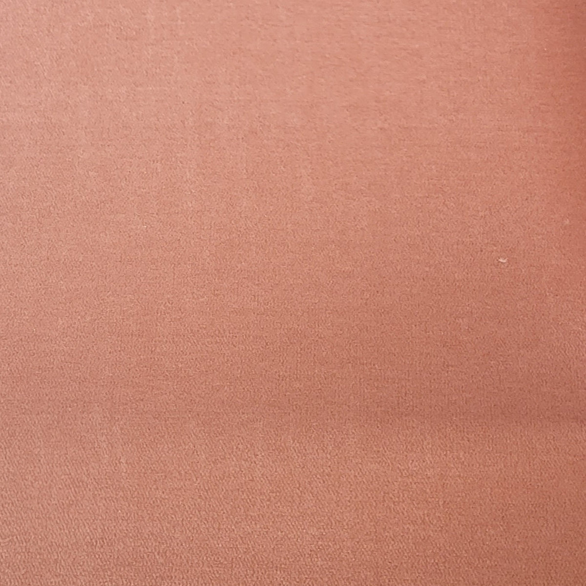 Carpet Dark Salmon by New Creations