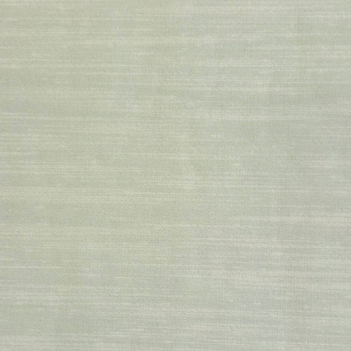 Springtime Solid - Light Grey - Mini Graphics