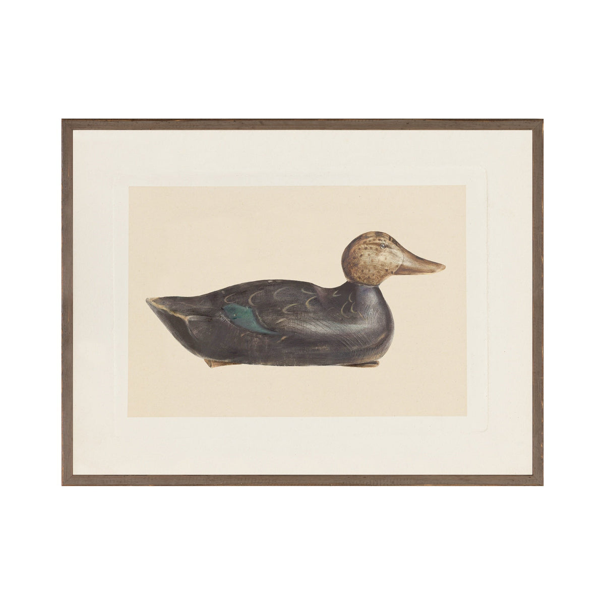 "Decoy Duck II" Framed Art Print