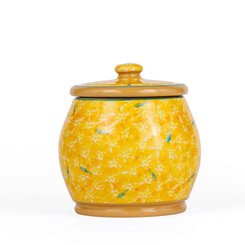 Nicholas Mosse  Small Round Lidded Jar, Yellow Lawn