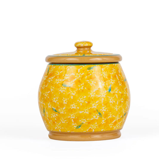 Nicholas Mosse  Small Round Lidded Jar, Yellow Lawn