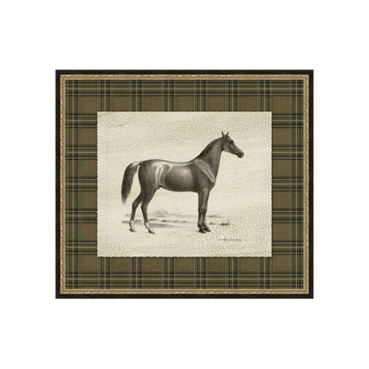 "Patterned Dignity" Framed Art Print