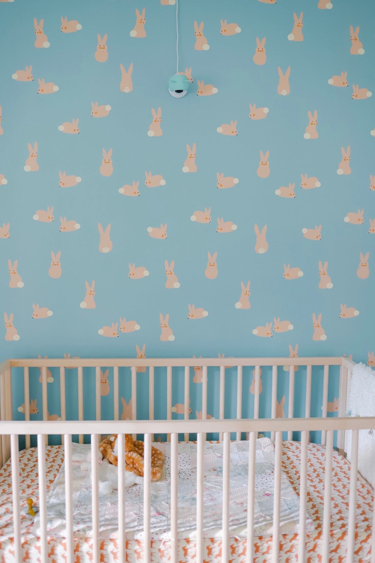 Cottontail Wallpaper
