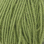 Encore Worsted