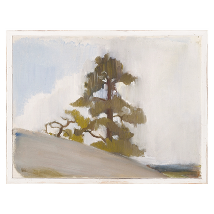 "Cliffside Pine" Framed Art Print