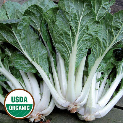 Leafy Greens Seeds